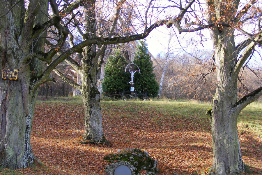 2. fotografia fotogalérie 