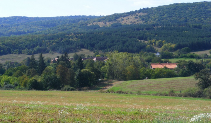 4. fotógaléria fotózás 