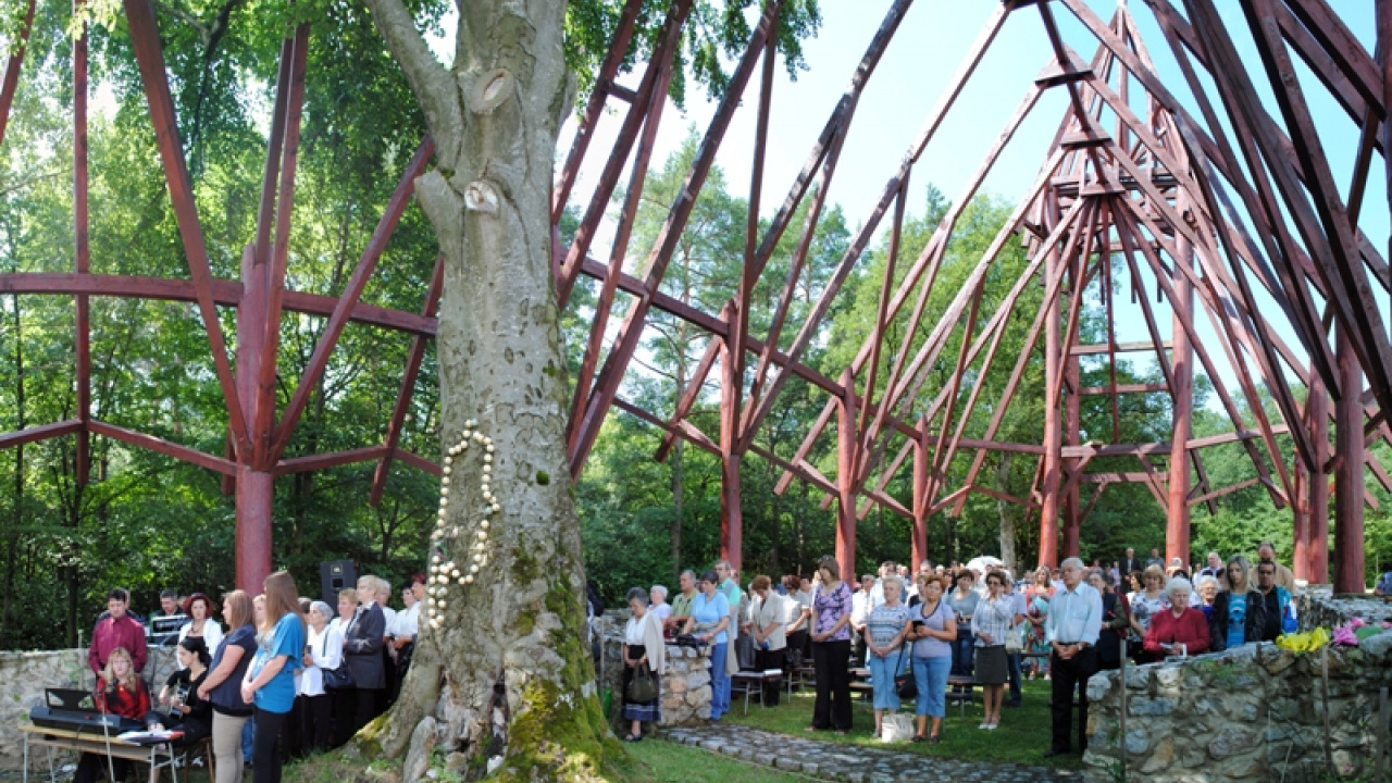 Fotografia fotogalérie Szent László csodatételei, Homonyik Sándor koncert