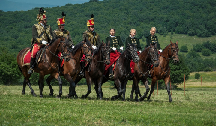 22. fotografia fotogalérie Szent László búcsú 2013