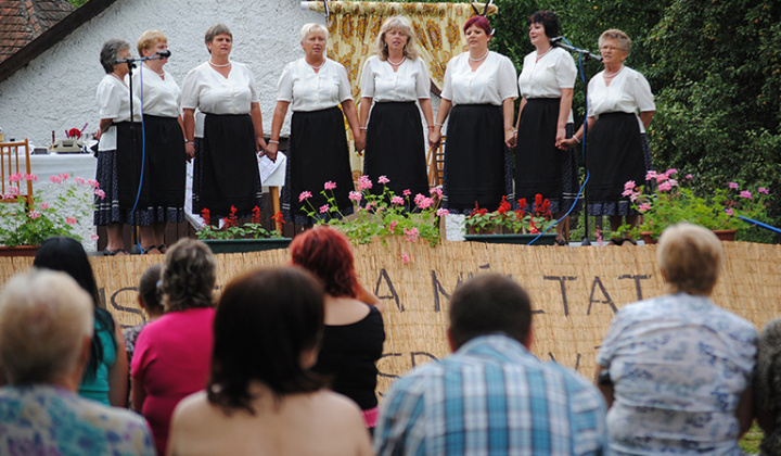 10. fotografia fotogalérie Debrőd napja 2013