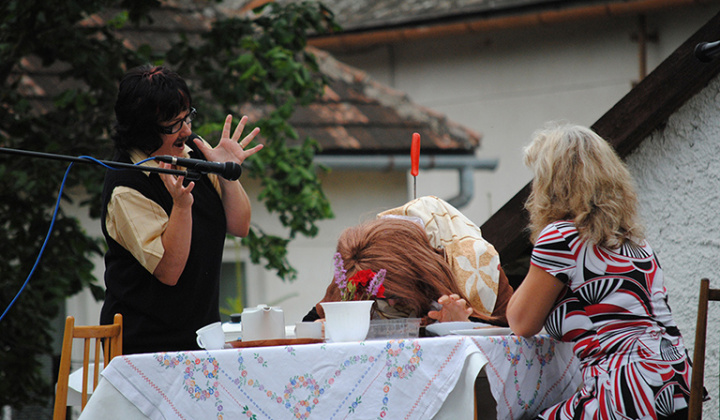 19. fotografia fotogalérie Debrőd napja 2013