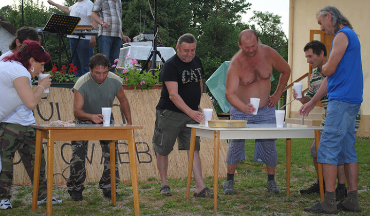 23. fotografia fotogalérie Debrőd napja 2013